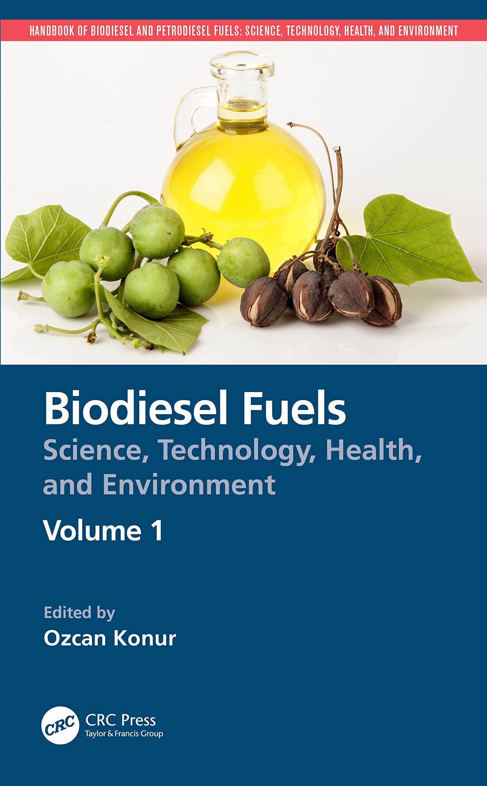 Biodiesel Fuels: Science, Technology, Health, and Environment (Handbook of Biodiesel and Petrodiesel Fuels)