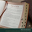 The Spiritual Growth Bible, Study Bible, NLT - New Living Translation Holy Bible, Faux Leather, Pink (NLT Spiritual Growth Editions)