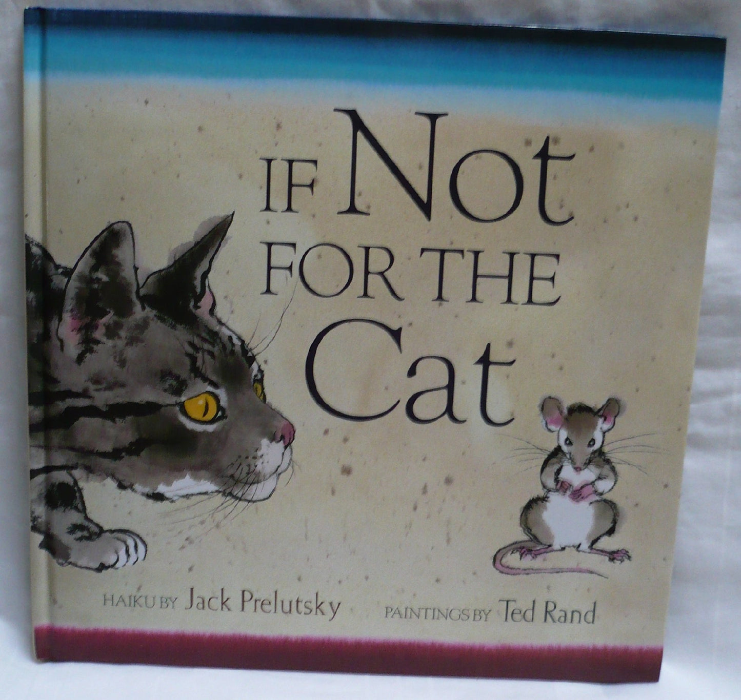If Not for the Cat