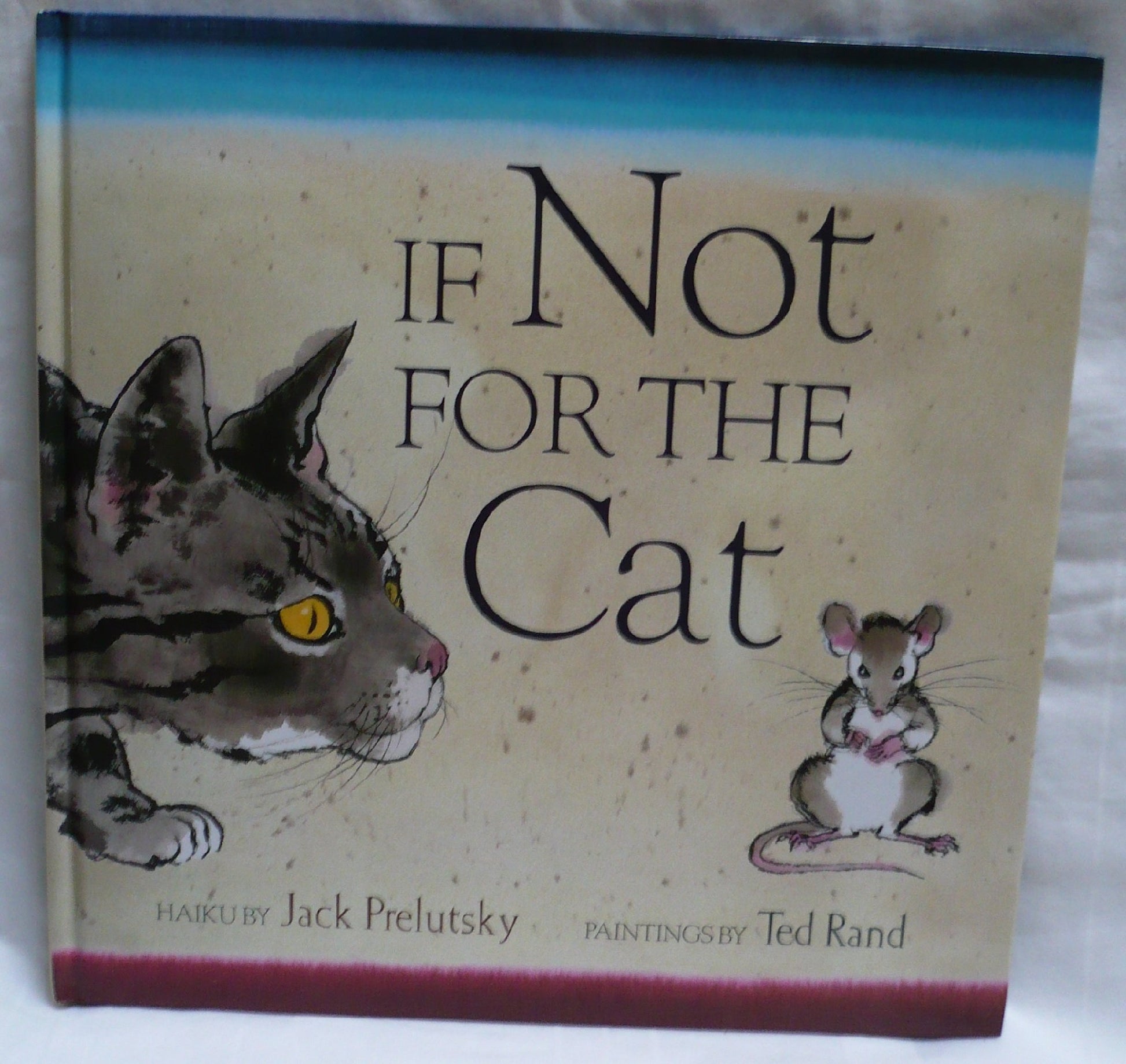 If Not for the Cat