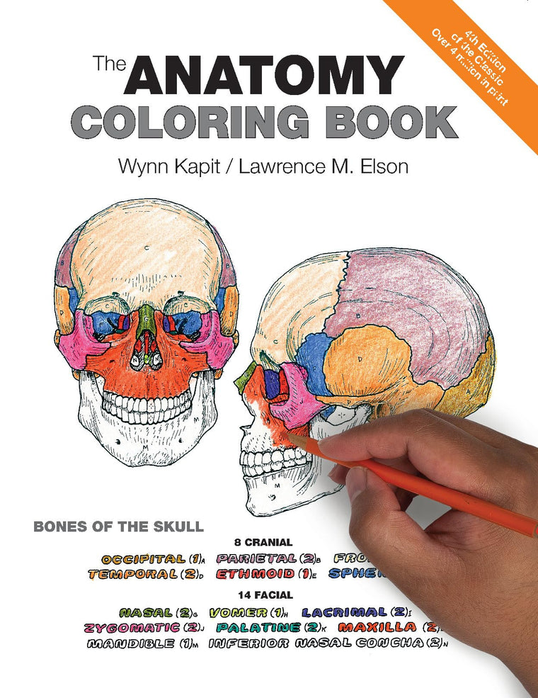 Anatomy Coloring Book, The by Wynn Kapit