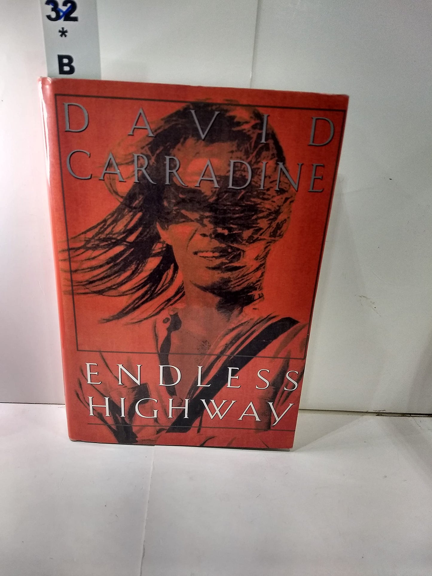 Endless Highway by David Carradine