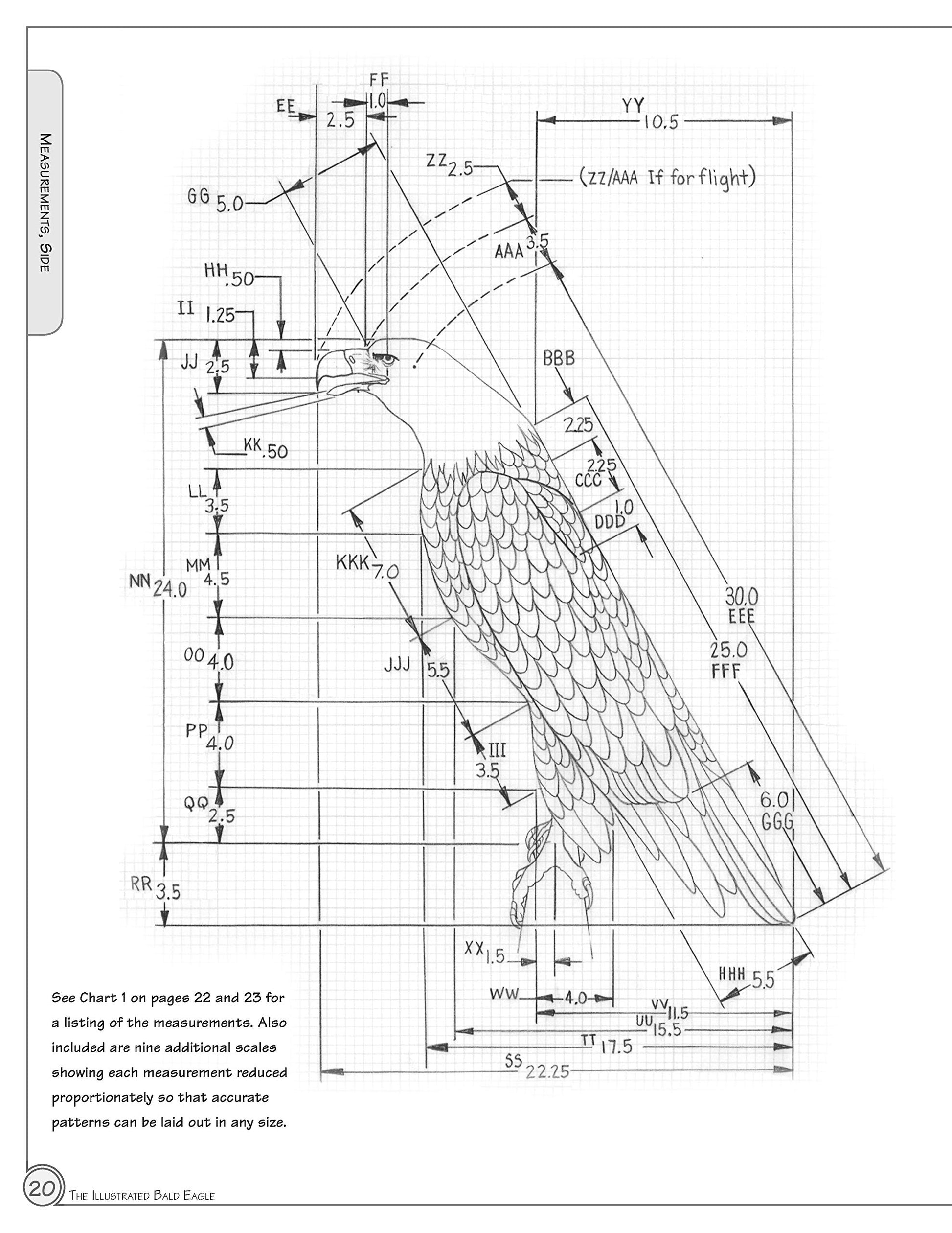 Illustrated Bald Eagle: The Ultimate Reference Guide for Bird Lovers, Woodcarvers, and Artists (Fox Chapel Publishing) Detailed Drawings & Measurements (Denny Rogers Visual Reference)