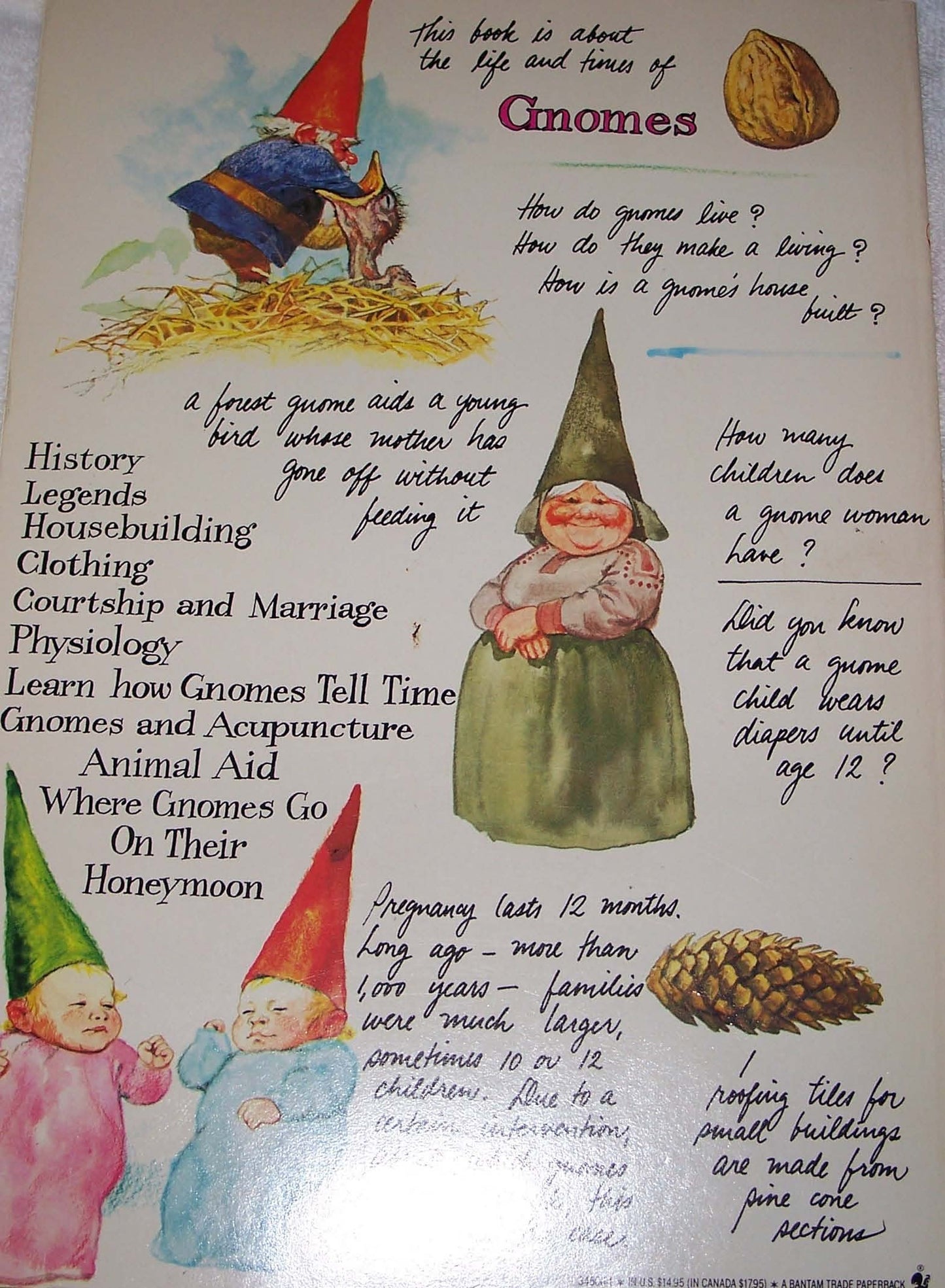 Gnomes