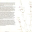 Zen Seeing, Zen Drawing: Meditation in Action by Franck, Fre