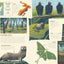 National Parks of the USA (Americana)