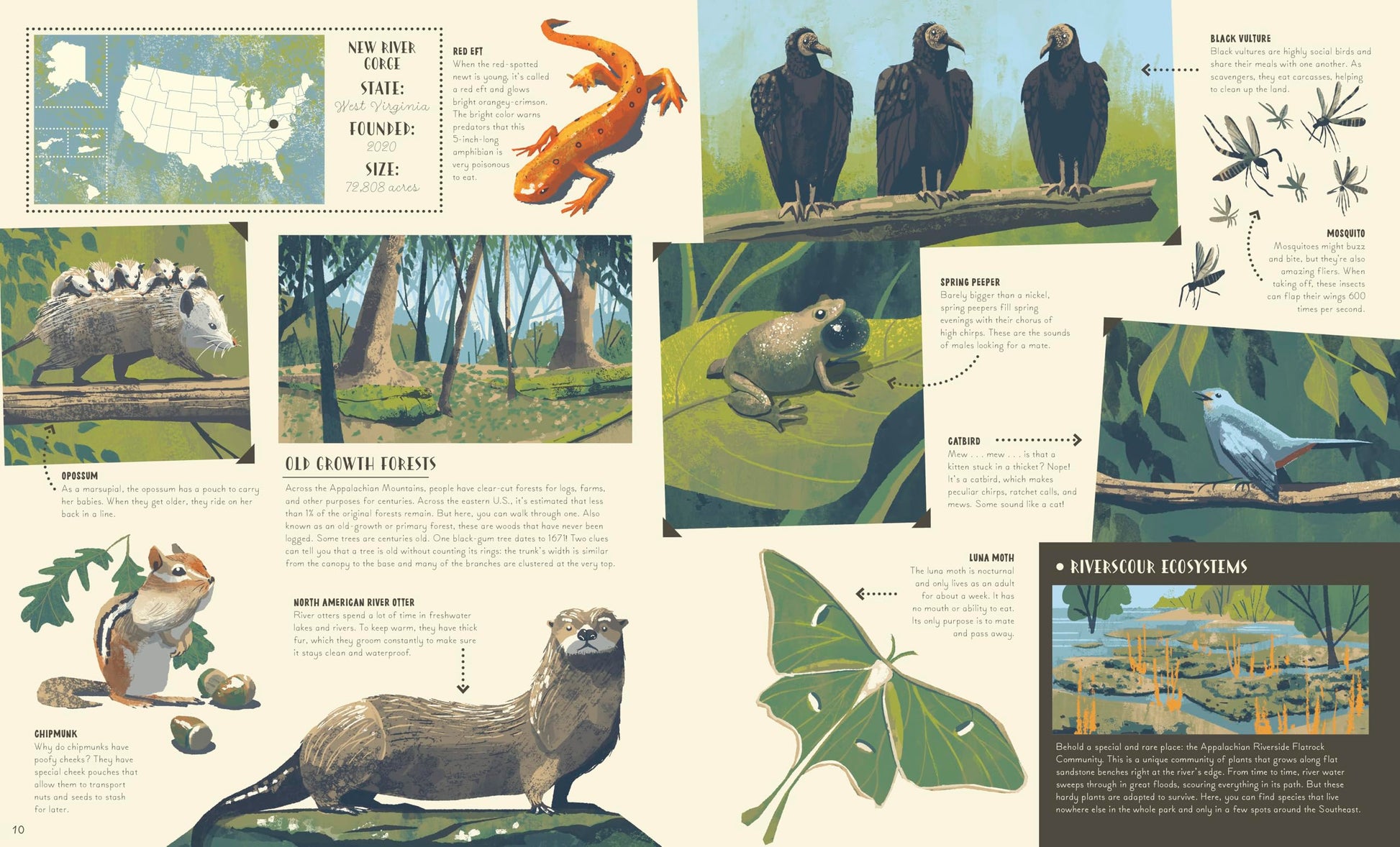 National Parks of the USA (Americana)