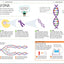 How to Be Good at Science, Technology, and Engineering (DK)