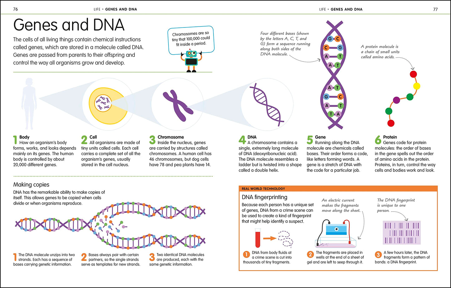 How to Be Good at Science, Technology, and Engineering (DK)