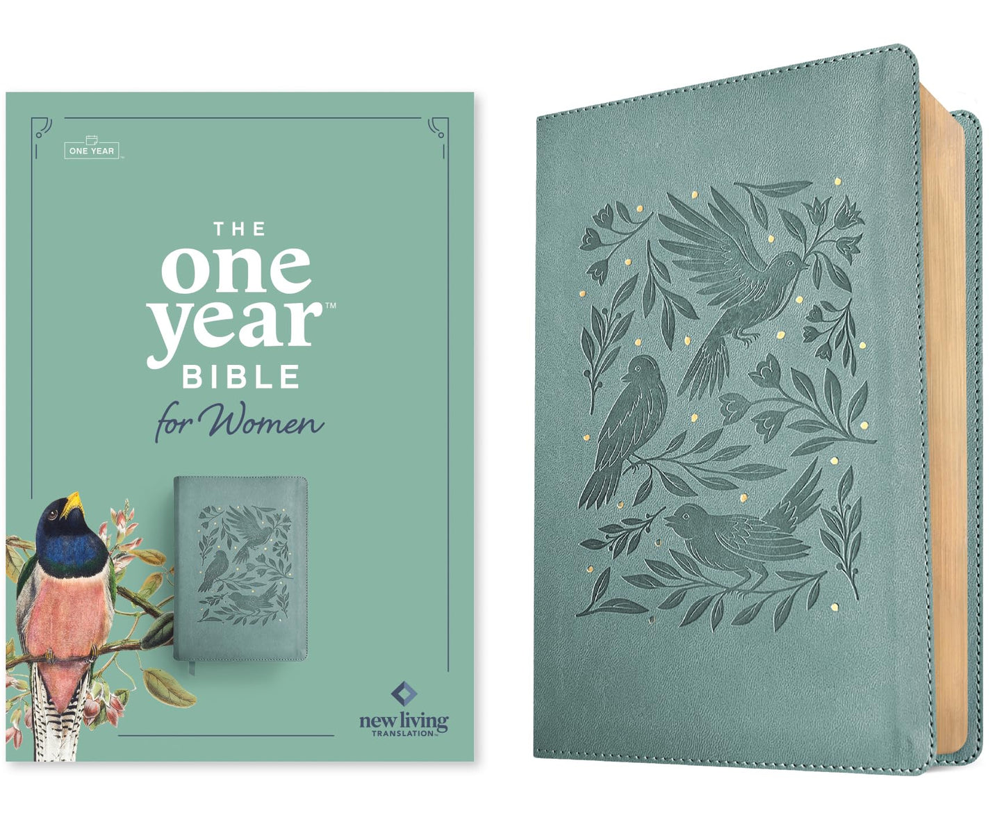 NLT The One Year Bible for Women (LeatherLike, Birdsong Teal)