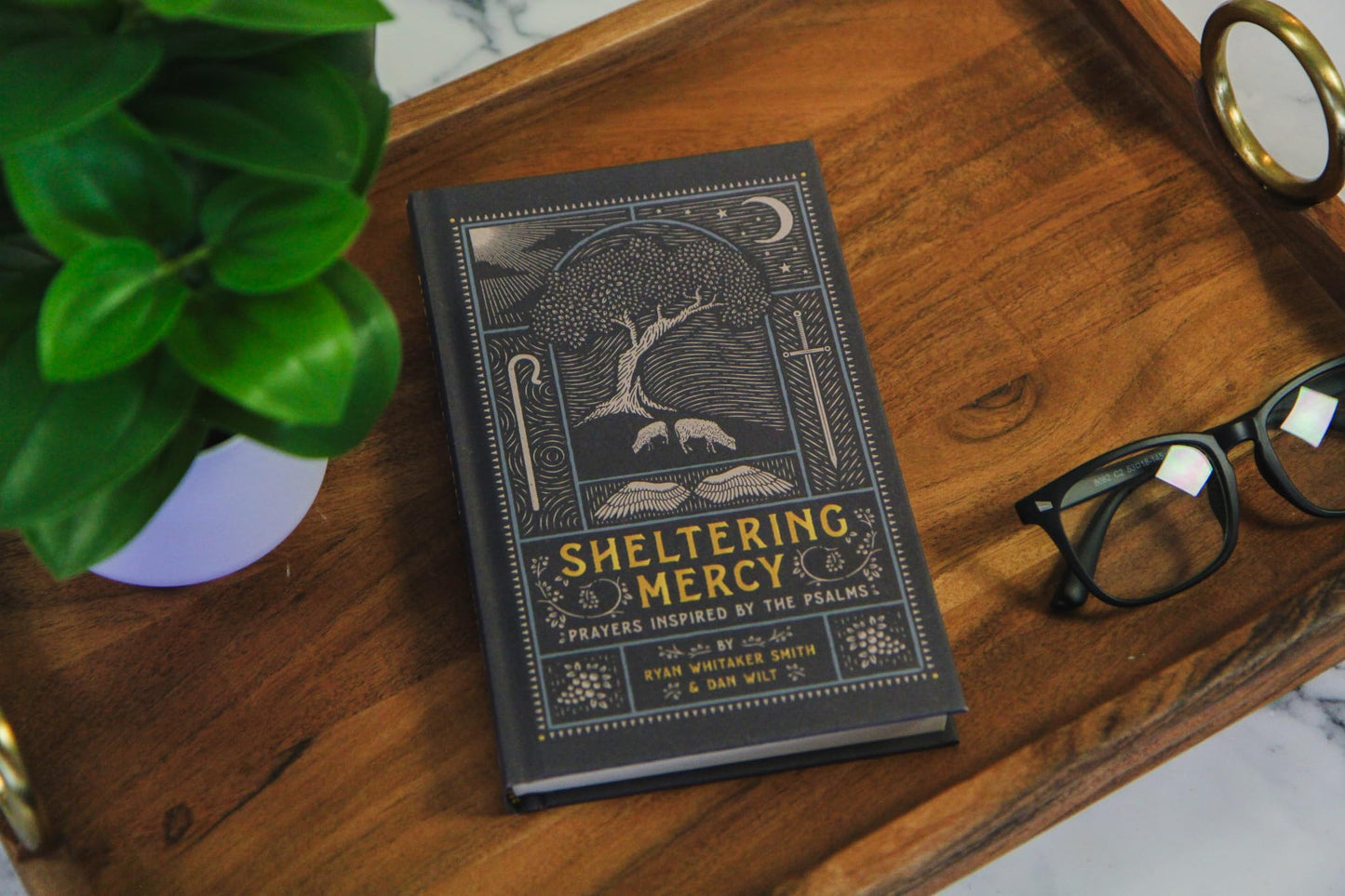 Sheltering Mercy: Prayers Inspired by the Psalms (An Illustrated Devotional Prayer Book with 75 Daily Free-Verse Poetic Prayer Responses - One for Each of the 1st 75 Psalms)