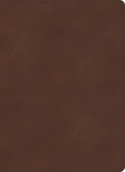 KJV Single-Column Wide-Margin Bible, Brown LeatherTouch, Red Letter, Pure Cambridge Text, Wide Margins, Full-Color Maps, Easy-to-Read Bible MCM Type