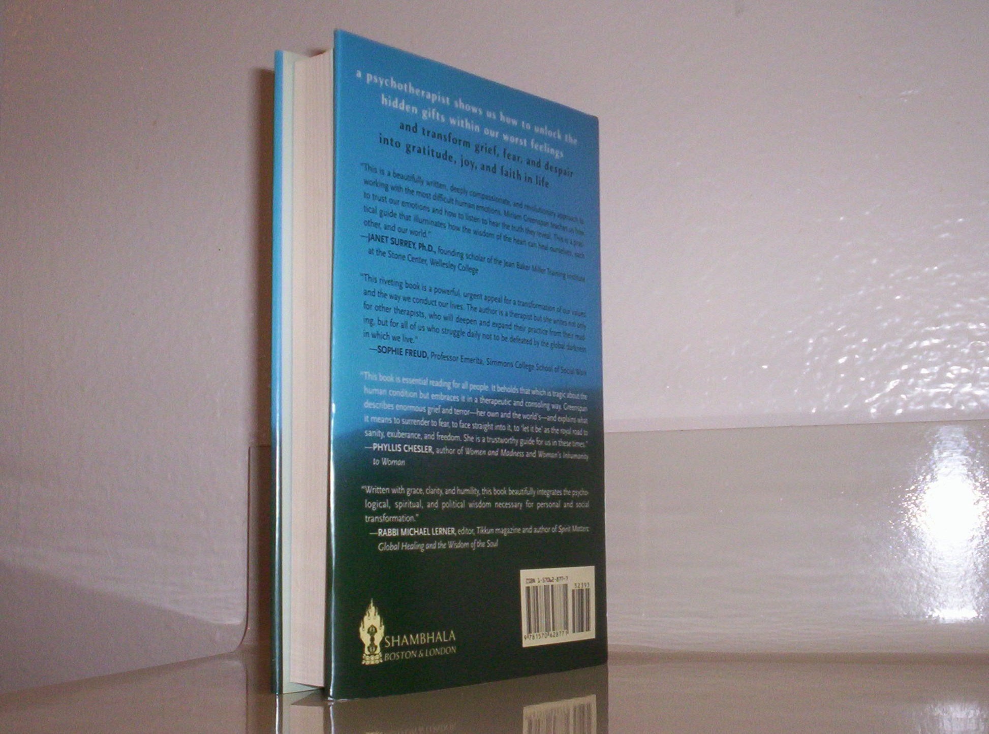 Healing through the Dark Emotions: The Wisdom of Grief, Fear, and Despair