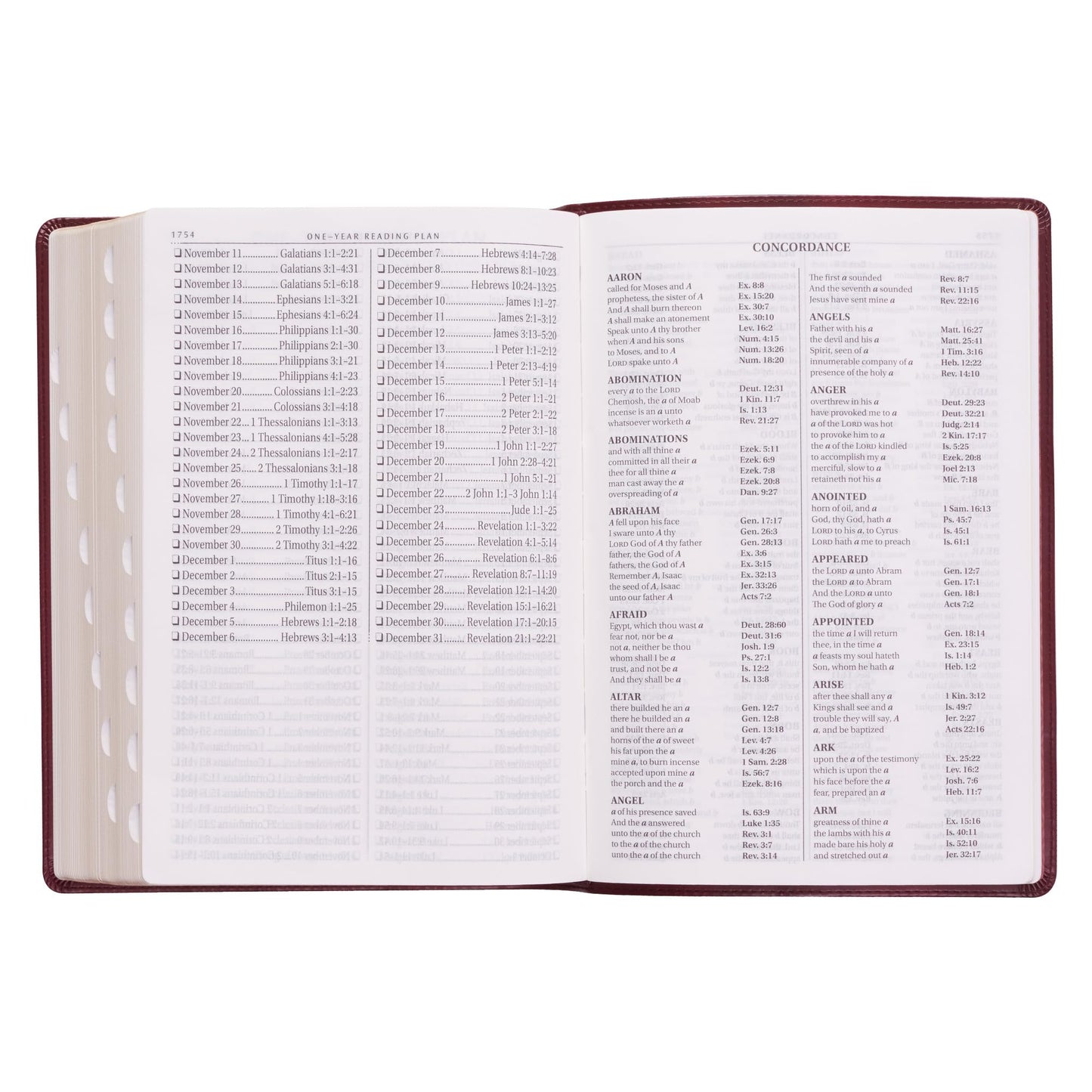 KJV Holy Bible, Super Giant Print Faux Leather Red Letter Edition - Thumb Index & Ribbon Marker, King James Version, Burgundy (KJV Super Giant Print Editions)