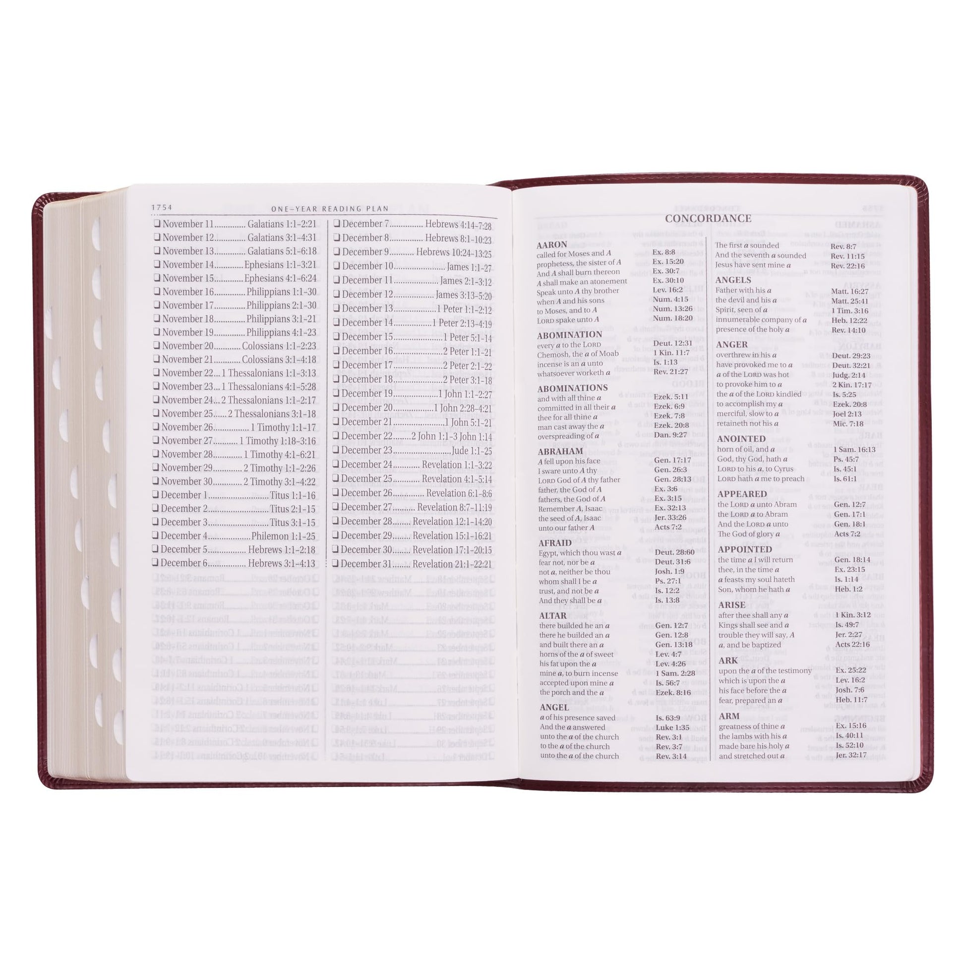 KJV Holy Bible, Super Giant Print Faux Leather Red Letter Edition - Thumb Index & Ribbon Marker, King James Version, Burgundy (KJV Super Giant Print Editions)