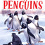 Mr. Popper's Penguins (Newbery Honor Award Winner)