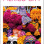 DK Top 10 Mexico City (Pocket Travel Guide)