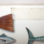 Intermedia Outdoors Sport Fish of The Pacific Book