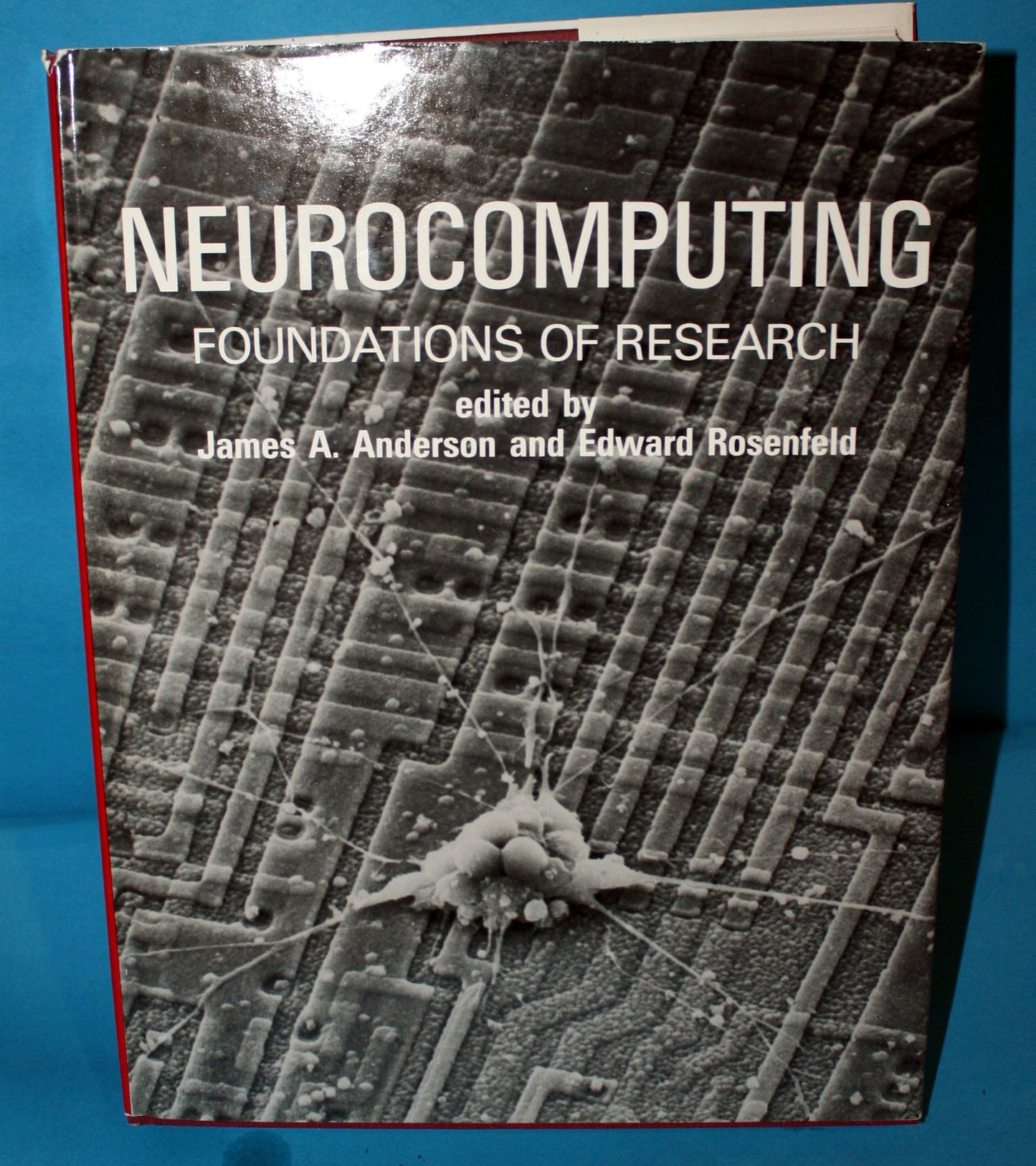 Neurocomputing: Foundations of Research