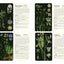 50 Plants that Heal: Discover Medicinal Plants - A Card Deck