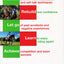 Simple Steps to Riding Success: Feel the Power of Positive Riding With Nlp Sports Psychology Techniques : Includes Exercises & Case Studies