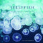 Jellyfish: A Natural History