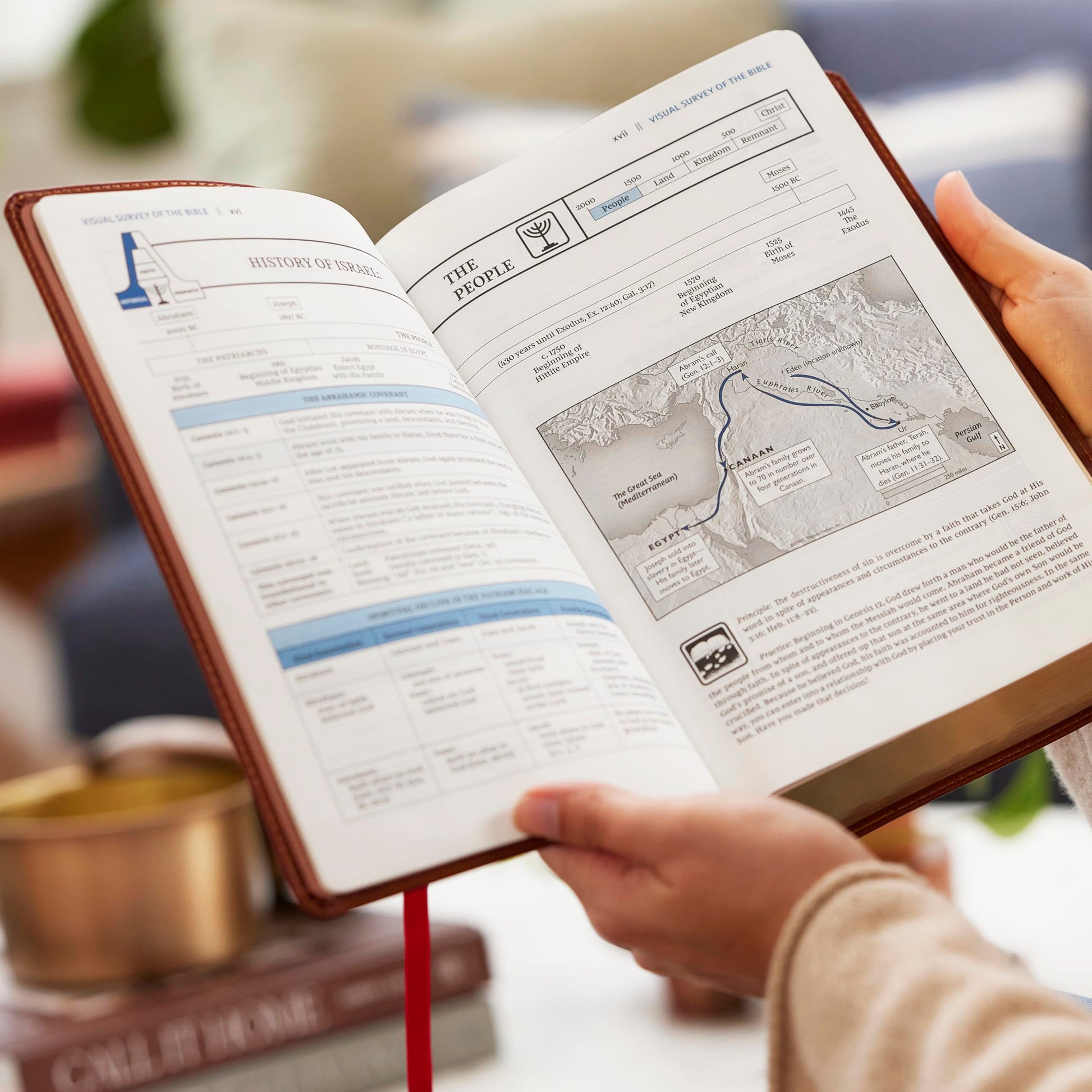 The Open Bible: Read and Discover the Bible for Yourself (NKJV, Black Leathersoft, Red Letter, Comfort Print, Thumb Indexed)