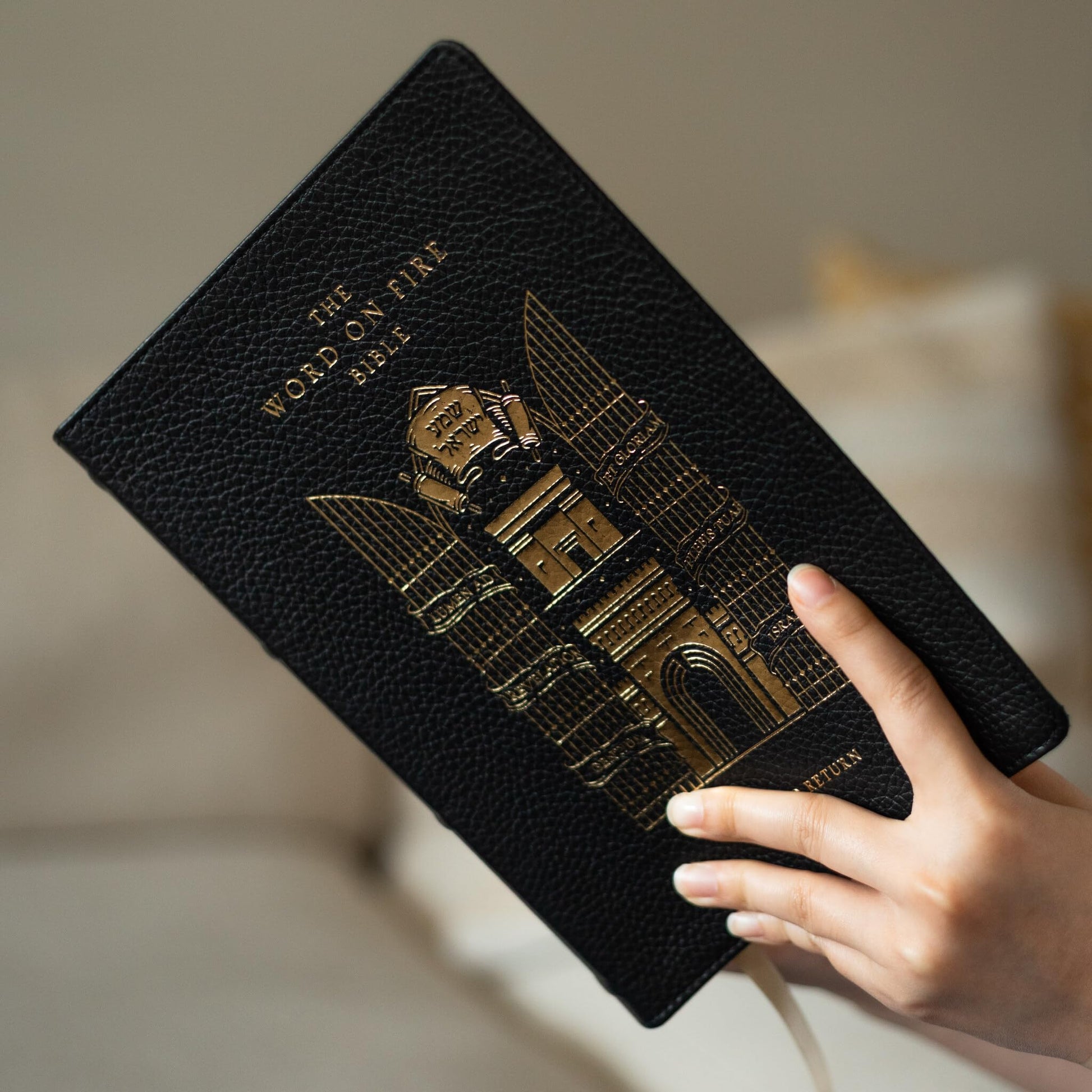 The Word on Fire Bible (Volume V): Exile and Return (Leather)