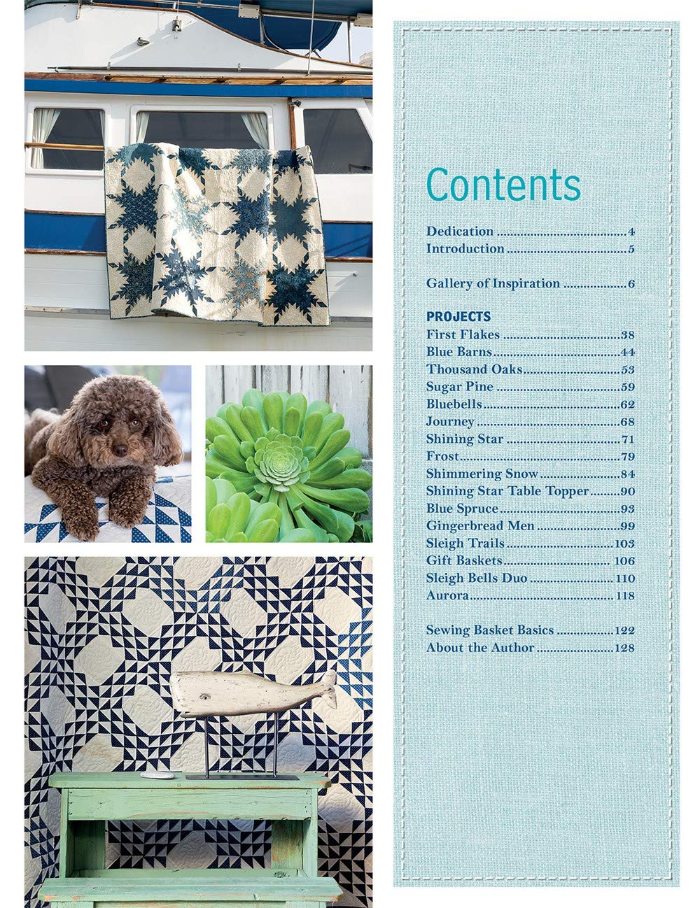 Patches of Blue: 17 Quilt Patterns and a Gallery of Inspiring Antique Quilts