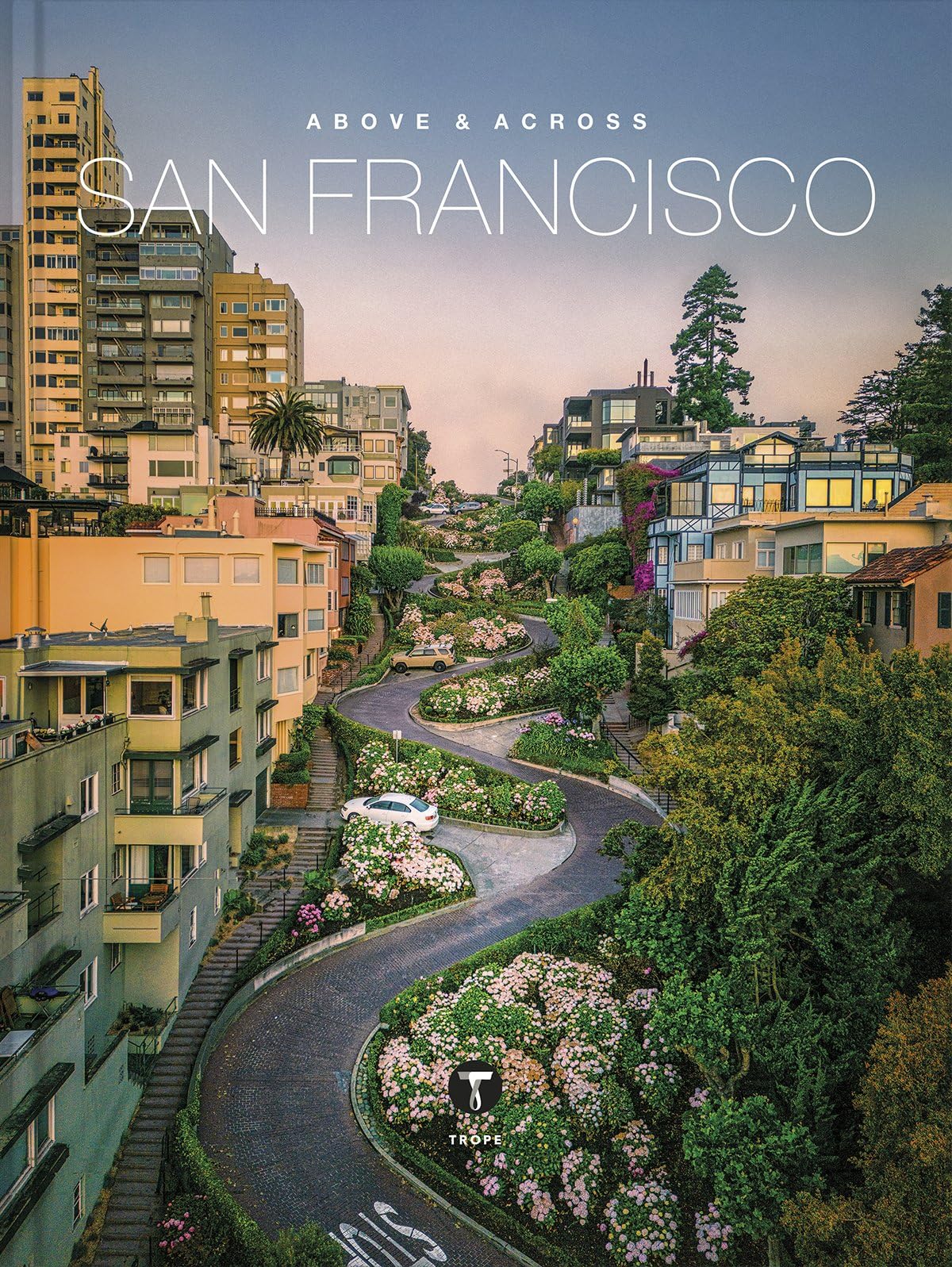Above and Across San Francisco (Above & Across)