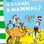 Is a Camel a Mammal?
