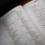 NKJV, Woman Thou Art Loosed, Paperback, Red Letter: Holy Bible, New King James Version