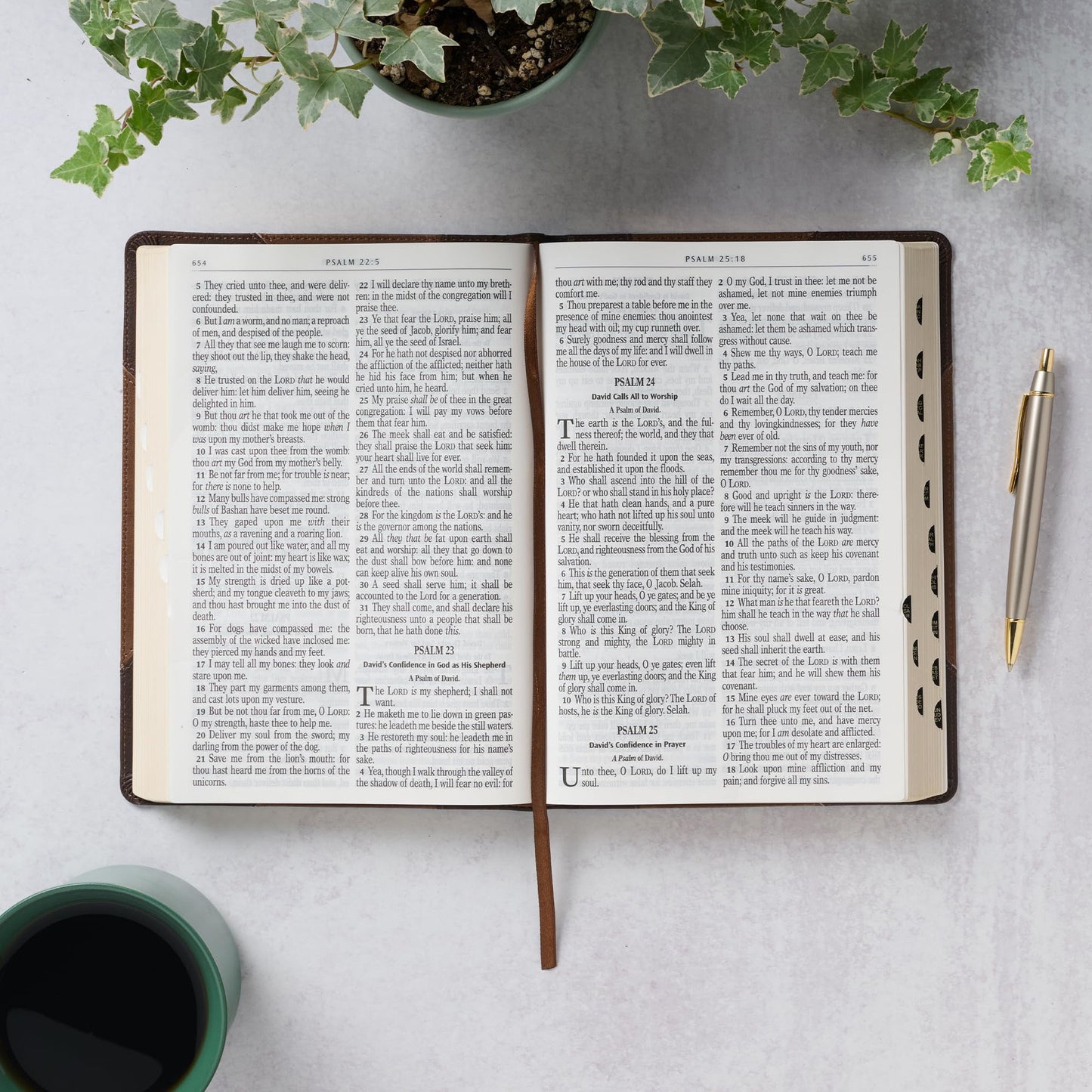 KJV Holy Bible, Giant Print Full-size Faux Leather Red Letter Edition - Thumb Index & Ribbon Marker, King James Version, Two-tone Brown (KJV Full Size GP Editions)