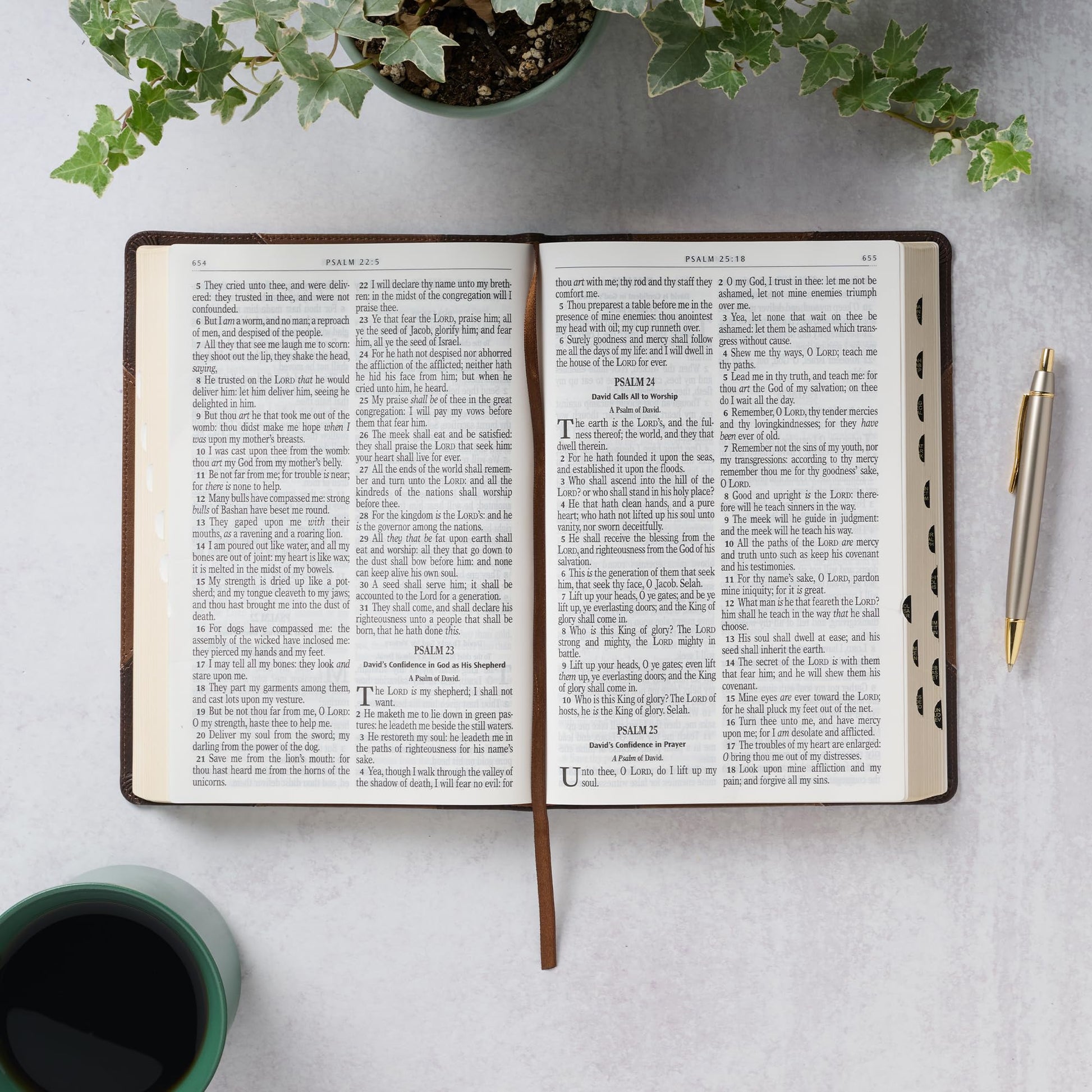 KJV Holy Bible, Giant Print Full-size Faux Leather Red Letter Edition - Thumb Index & Ribbon Marker, King James Version, Two-tone Brown (KJV Full Size GP Editions)