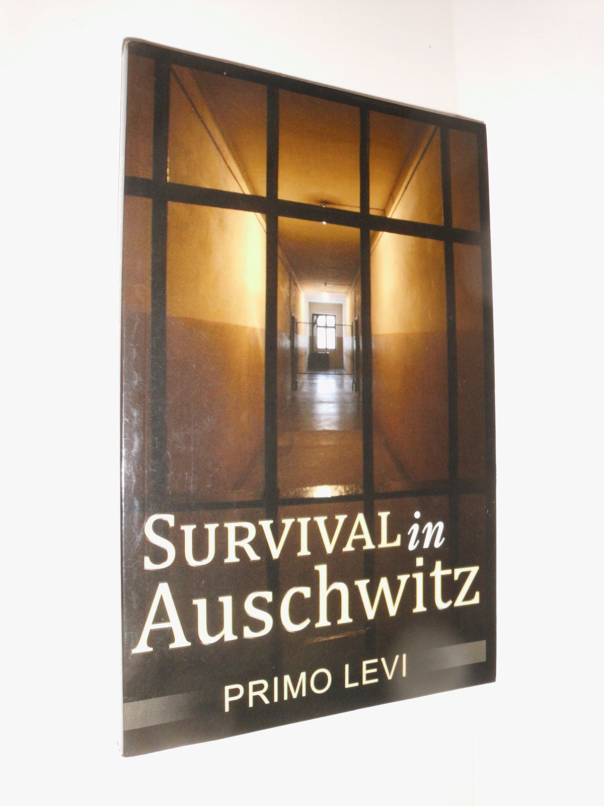 Survival In Auschwitz