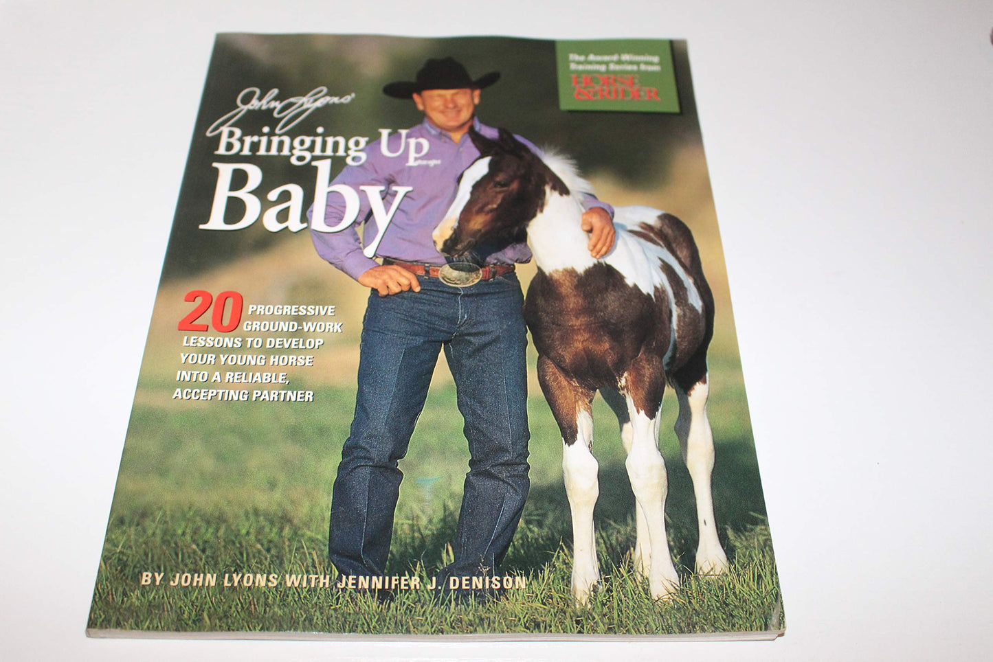 John Lyons' Bringing Up Baby: 20 Progressive Ground-Work Les