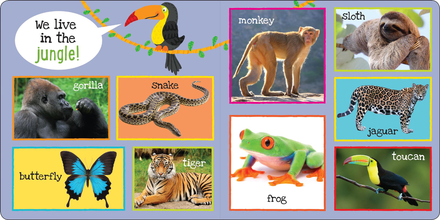 My First 101 ANIMALS Padded Board Book