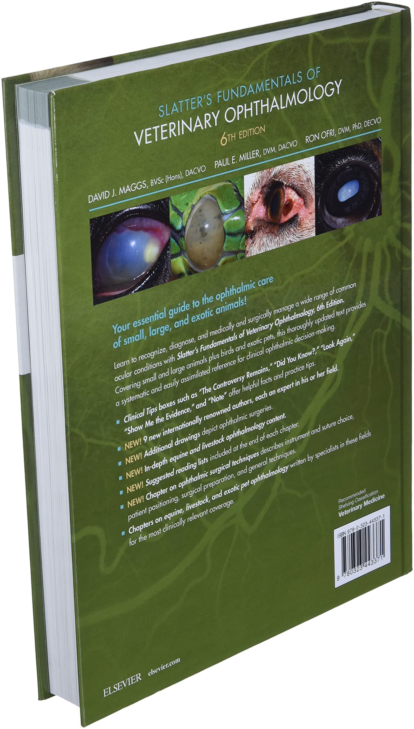 Slatter's Fundamentals of Veterinary Ophthalmology by Maggs