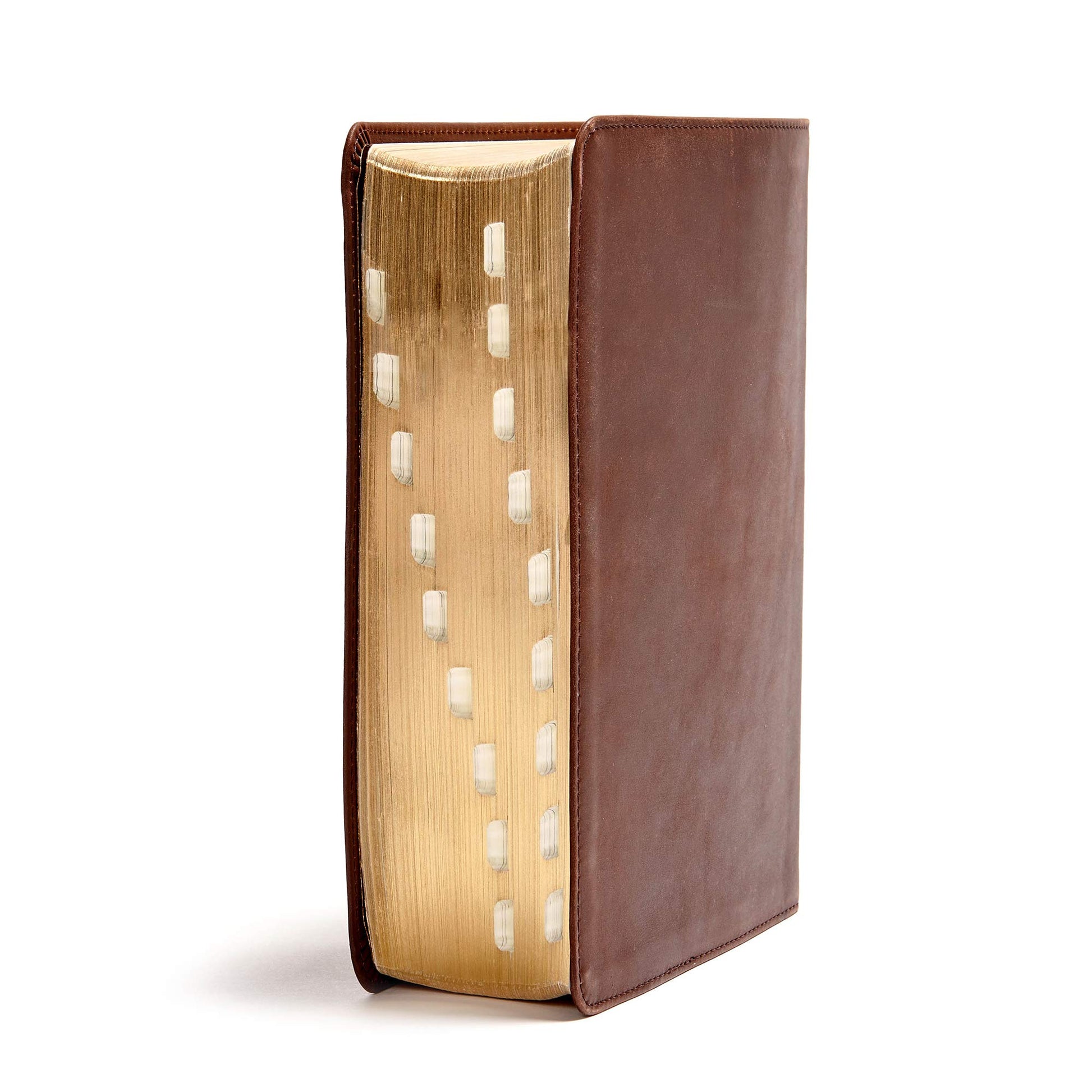 CSB He Reads Truth Bible, Brown Genuine Leather Indexed, Black Letter, Wide Margins, Journaling Space, Illustrations, Reading Plans, Single-Column, Easy-to-Read Bible Serif Type