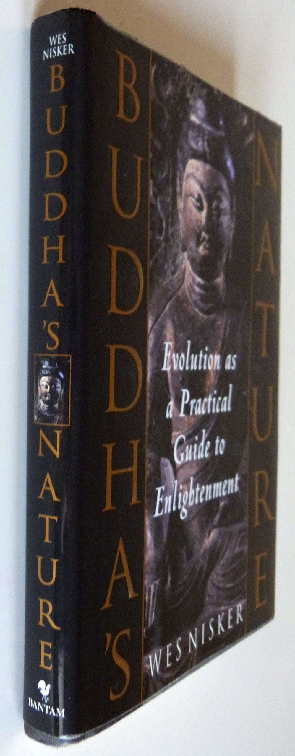 Buddha's Nature: A Practical Guide to Enlightenment Through Evolution