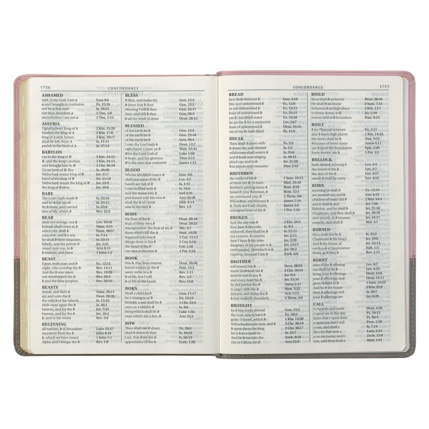 KJV Holy Bible, Super Giant Print Faux Leather Red Letter Edition - Ribbon Marker, King James Version, Pink/Gray (KJV Super Giant Print Editions)