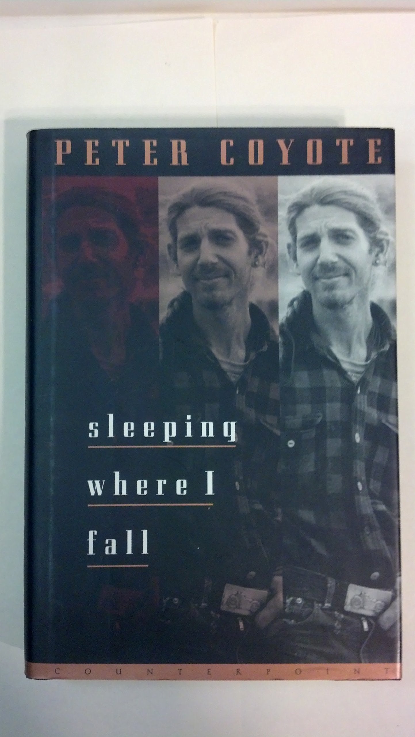 Sleeping Where I Fall: A Chronicle