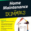 Home Maintenance For Dummies