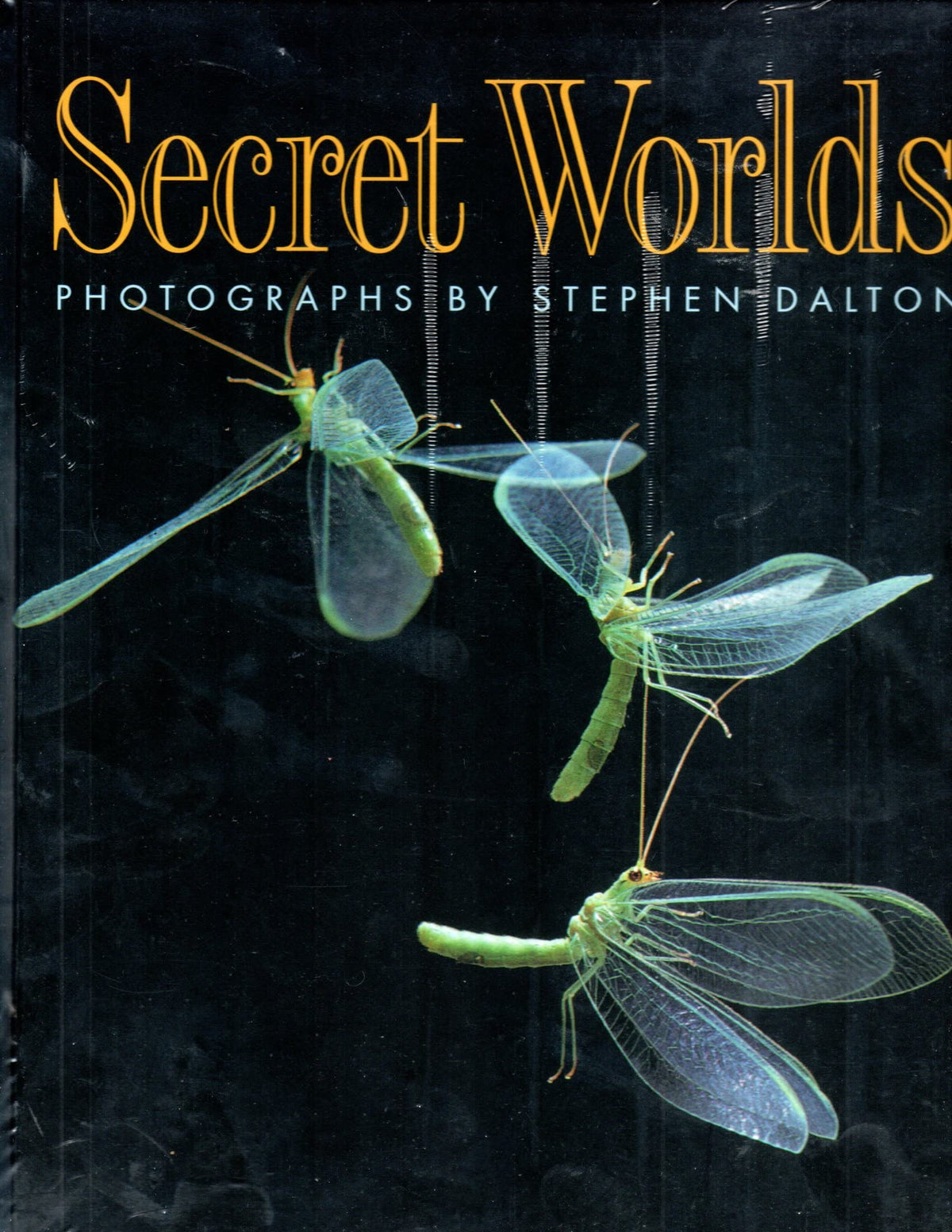 Secret Worlds