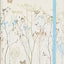 Butterflies Journal (Notebook, Diary)