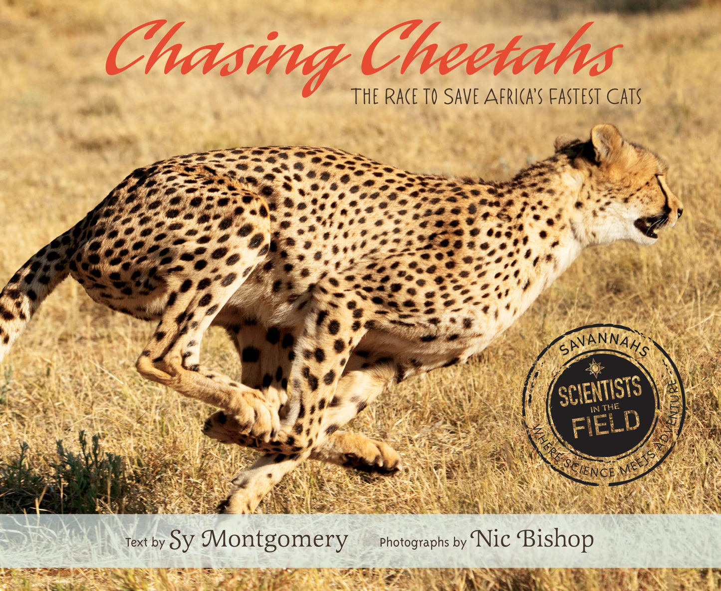 Chasing Cheetahs: The Race to Save Africa's Fastest Cat (Sci