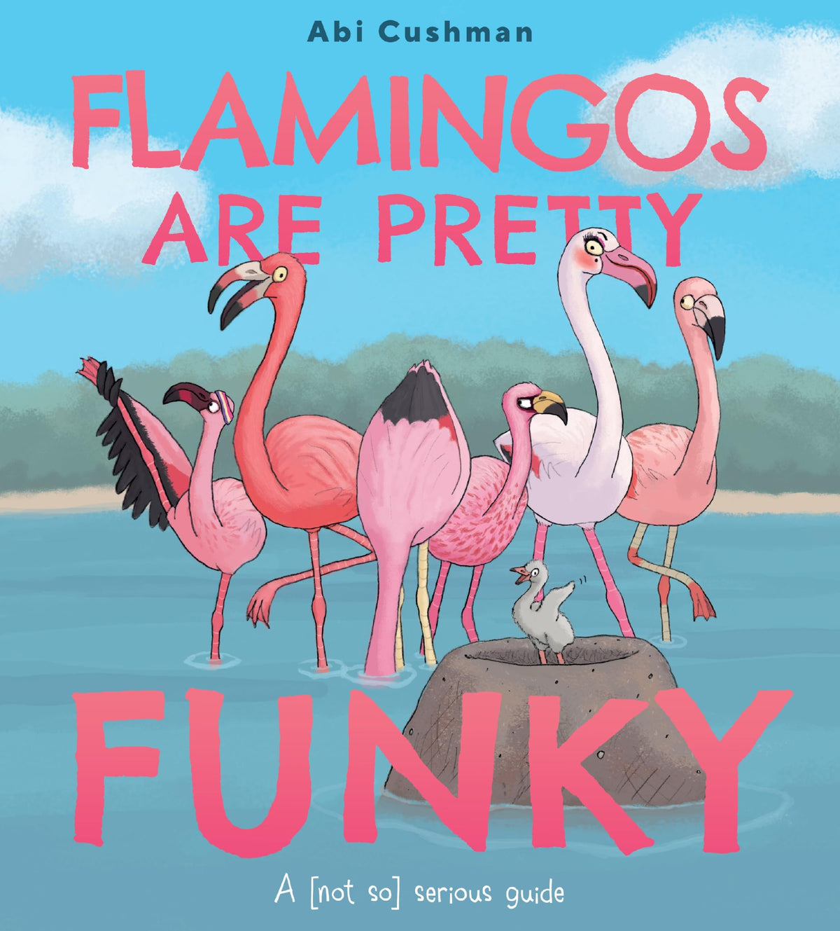 Flamingos Are Pretty Funky: A (Not So) Serious Guide - A Funny and Educational Picture Book about Birds and Habitats for kids (Ages 4-8)