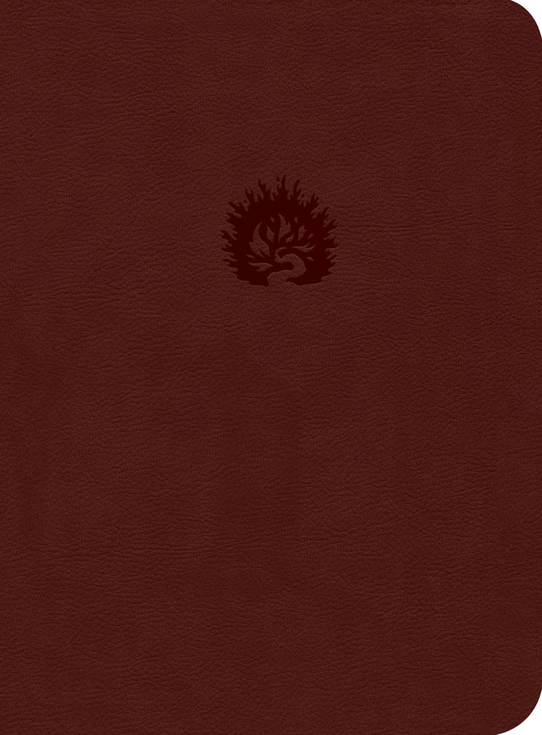 Reformation Study Bible (2015) ESV, Leather-Like Brick Red