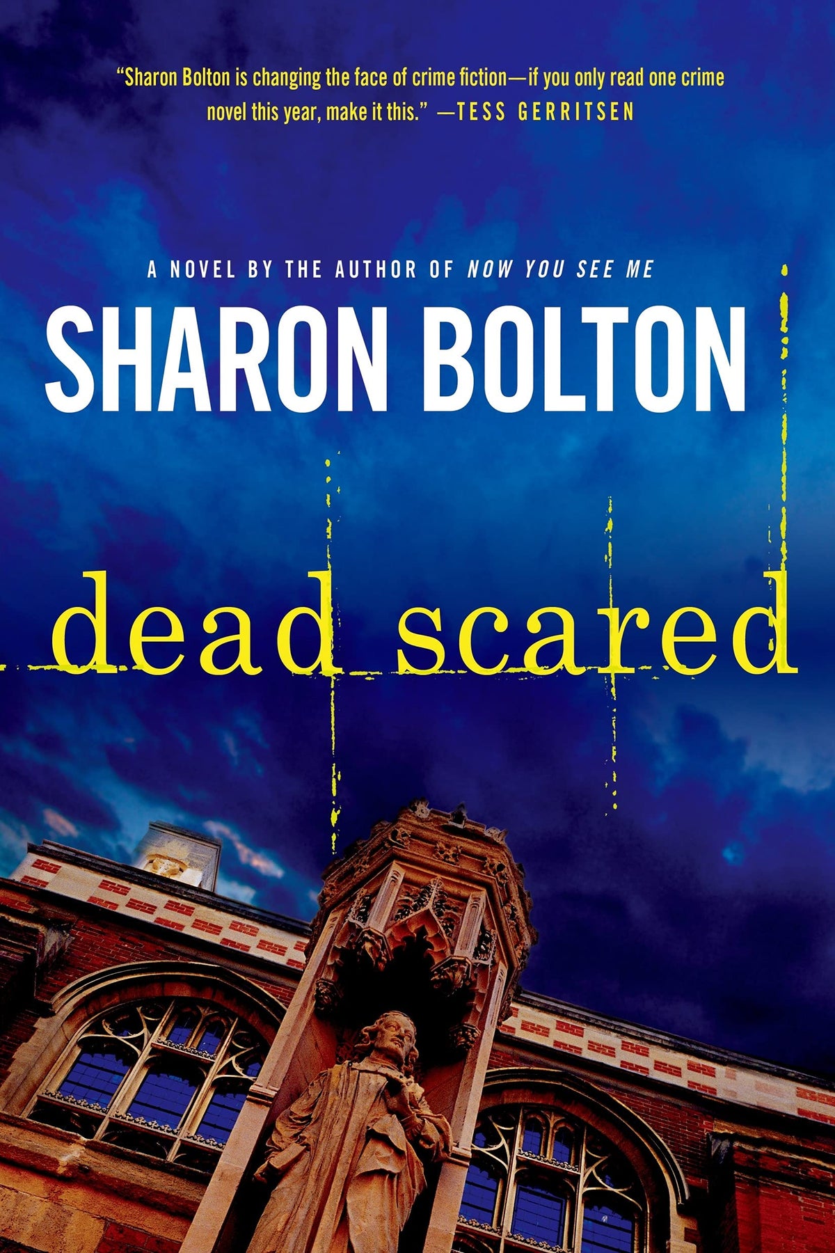 Dead Scared: A Lacey Flint Novel (Lacey Flint Novels, 2)