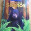 Science Single Volume Level 4: Houghton Mifflin Science California